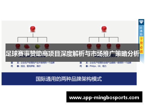 足球赛事赞助商项目深度解析与市场推广策略分析