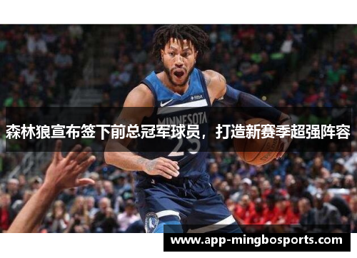 森林狼宣布签下前总冠军球员，打造新赛季超强阵容